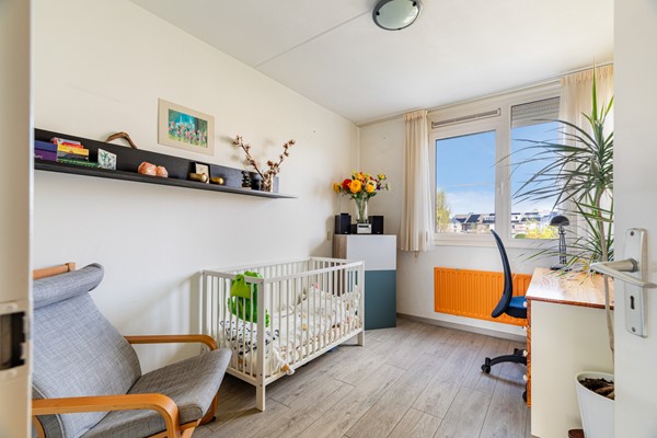 Albert Schweitzererf 6_34.jpg